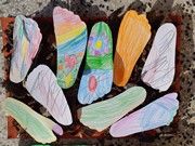 Barefoot botky soutěž